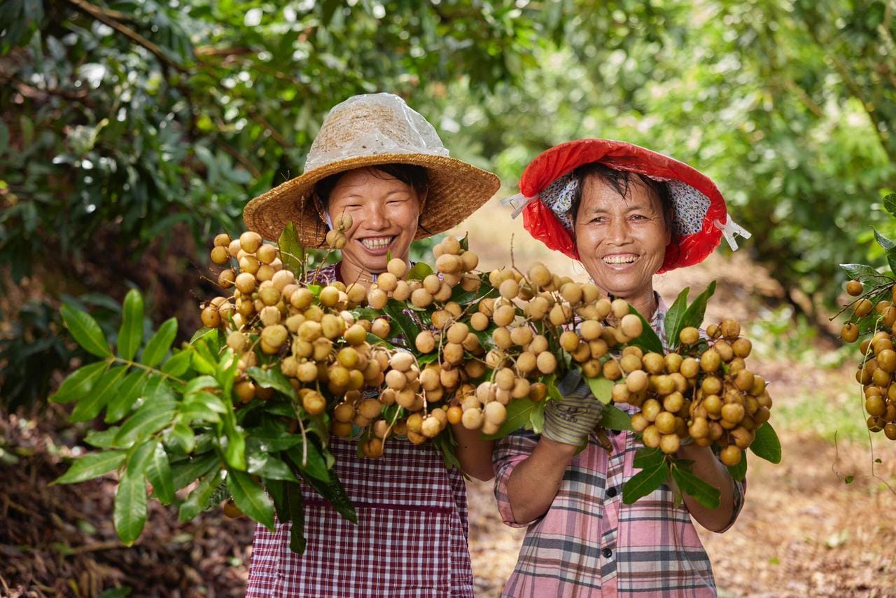 Gói vay hỗ trợ nông nghiệp 2025 Dola Dong